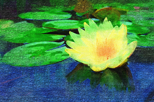 油畫蓮花