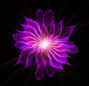 華麗花紋