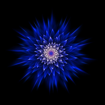 分形花紋圖案