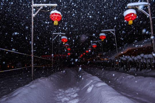 雪夜 大雪飘飘 雪乡