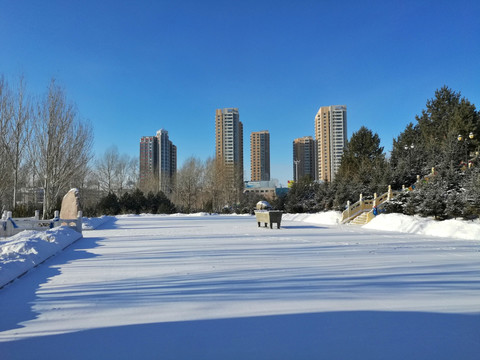 冬季 冰雪 光影 唯美的世界