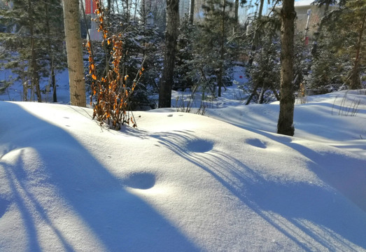 冬季 冰雪 光影 唯美的世界