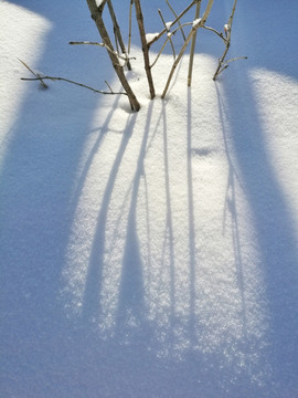 冬季 冰雪 光影 唯美的世界