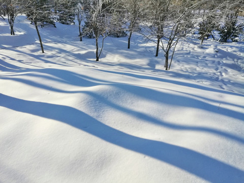 冬季 冰雪 光影 唯美的世界