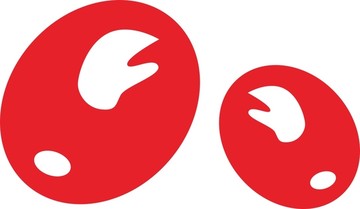 棗