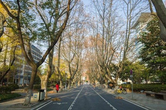 同济大学 校园风光