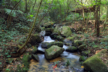 肇庆鼎湖白水寨风光