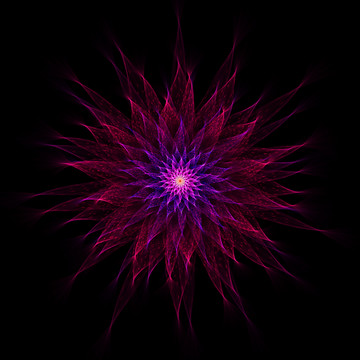 夢(mèng)幻之花