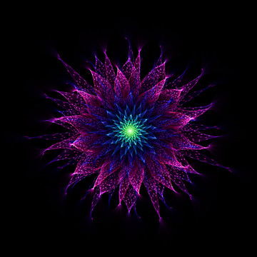 夢(mèng)幻之花