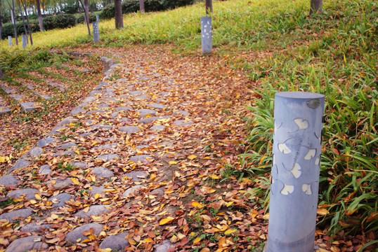 园林小路