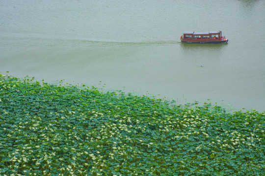 荷花池游船