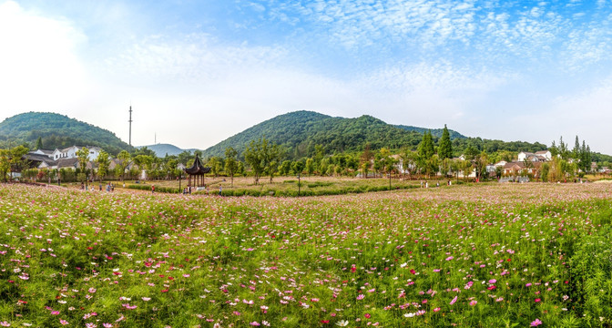 南京浦口老山不老村