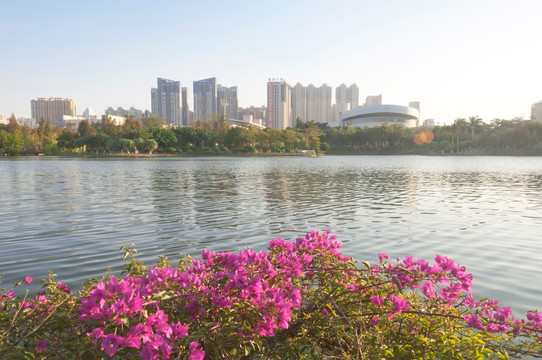 石狮龟湖风景