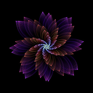 夢幻之花