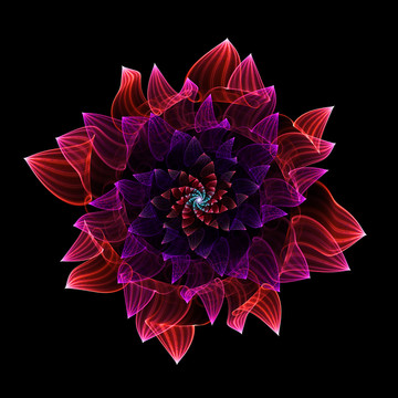 夢幻之花