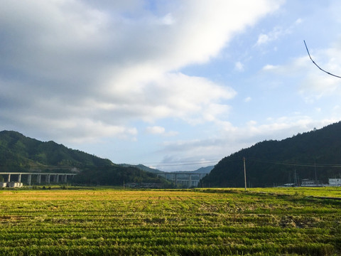 乡间麦田