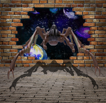 3D蜘蛛立體壁畫