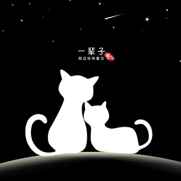 星空猫