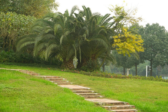 公路绿化带景观 石板路 草坪