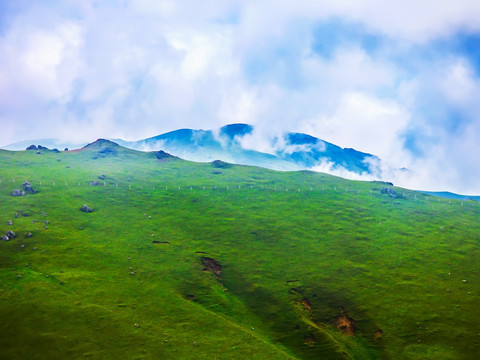 高山草场