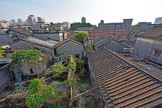 深圳沙井老街 沙井蚝村