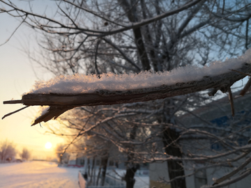 雪景