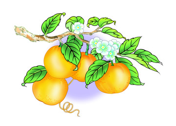 水果花