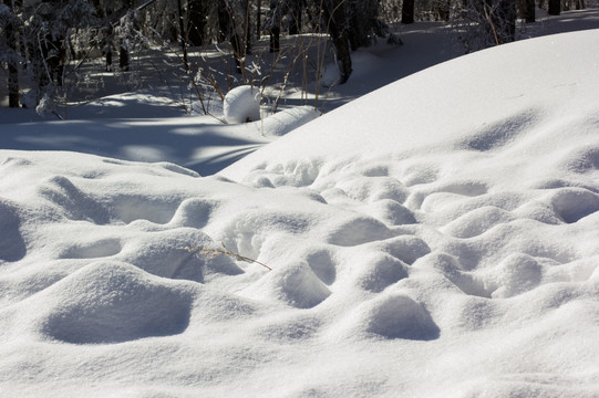 雪景 雪地