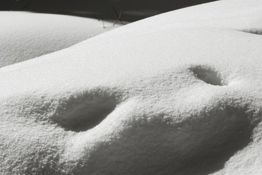 雪景 雪地