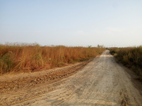 农村土路