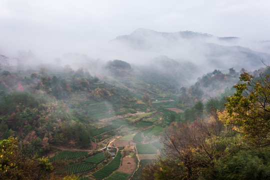 云山雾绕