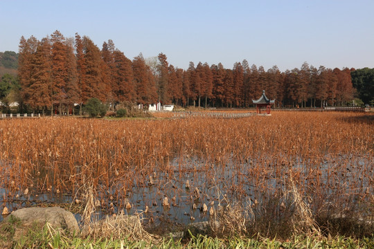 磨山公园风景