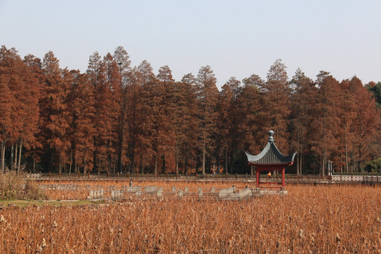 磨山公园风景