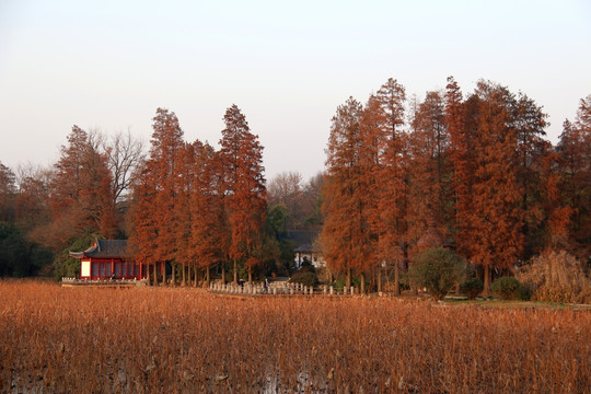 磨山公园风景