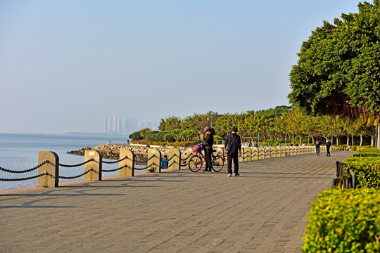 深圳红树林公园