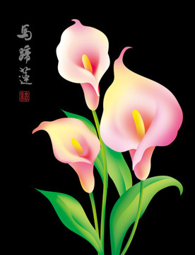 馬蹄蓮