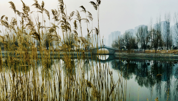 湖泊园林风景