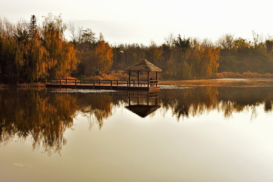 西昌湿地公园 湖泊