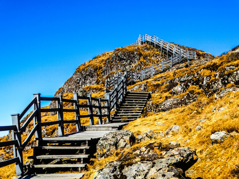 高山栈道