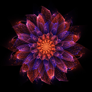 夢幻之花