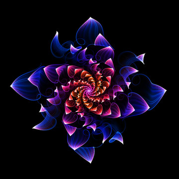 夢幻之花
