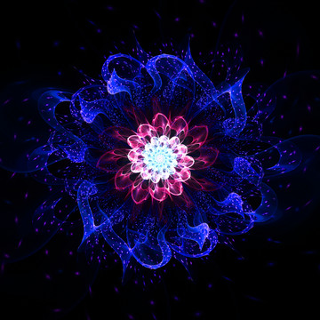 夢幻之花