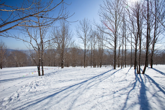 雪乡风光 雪景