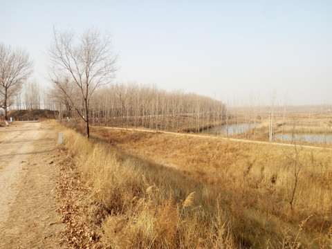 藍天下的湖景色