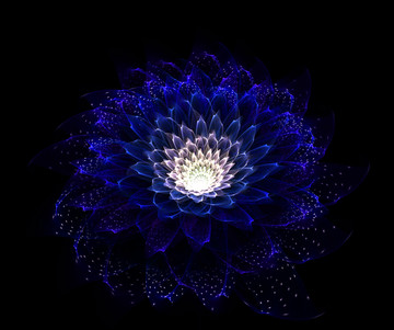 夢幻之花