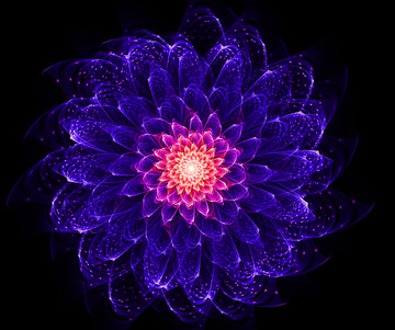 夢幻之花