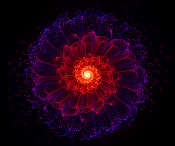 夢幻之花