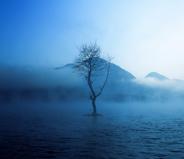 树之舞 山之韵 湖之魂 融