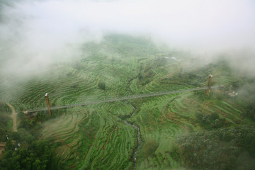 梯田 江西 田园 农村 山村