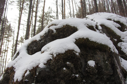 银雪世界